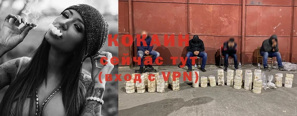 стафф Абаза